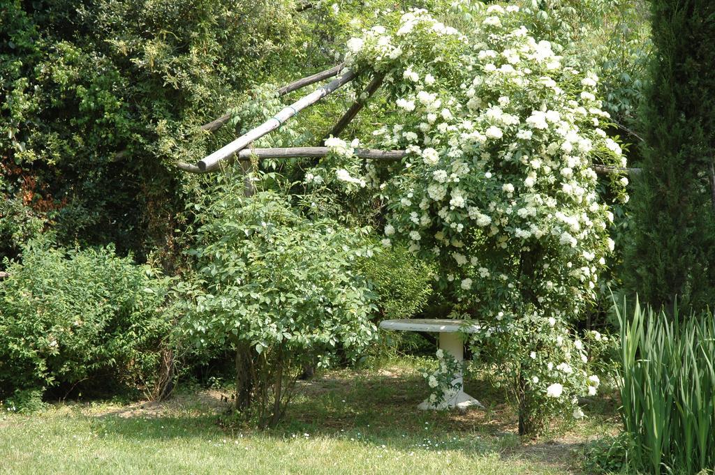 Appartamento Con Patio Privato E Giardino Tra Pisa E Firenze Palaia Exterior foto