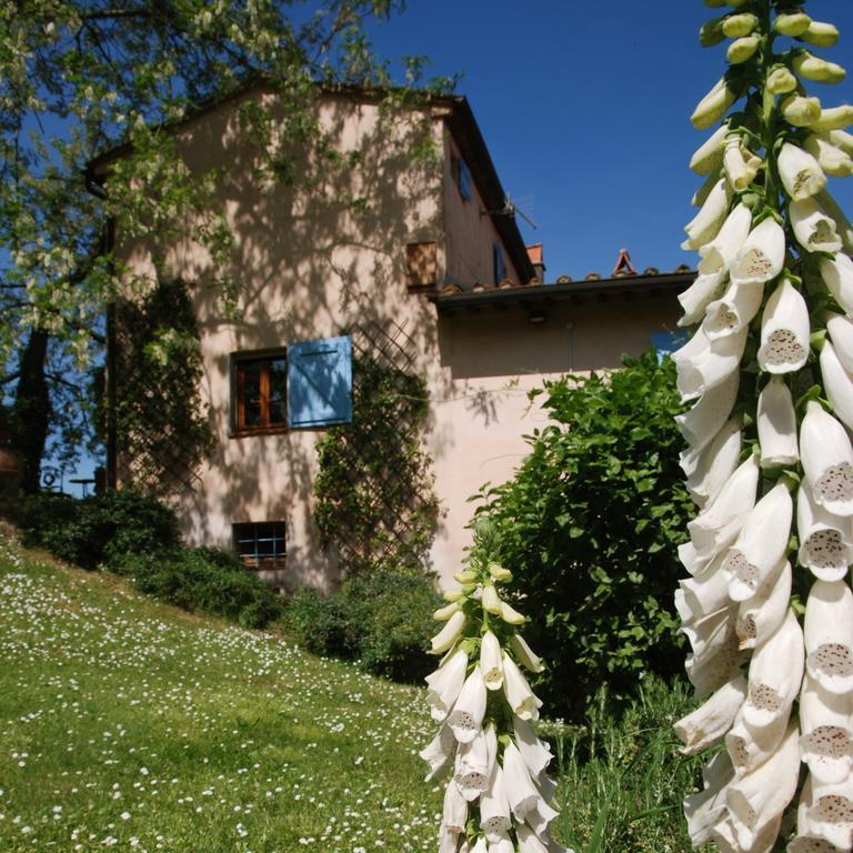 Appartamento Con Patio Privato E Giardino Tra Pisa E Firenze Palaia Exterior foto