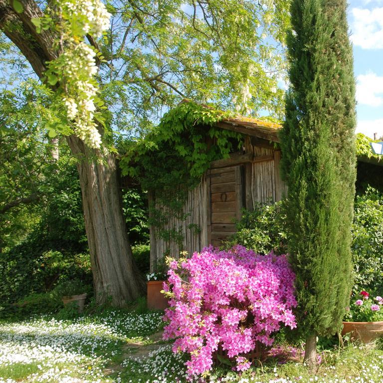 Appartamento Con Patio Privato E Giardino Tra Pisa E Firenze Palaia Exterior foto