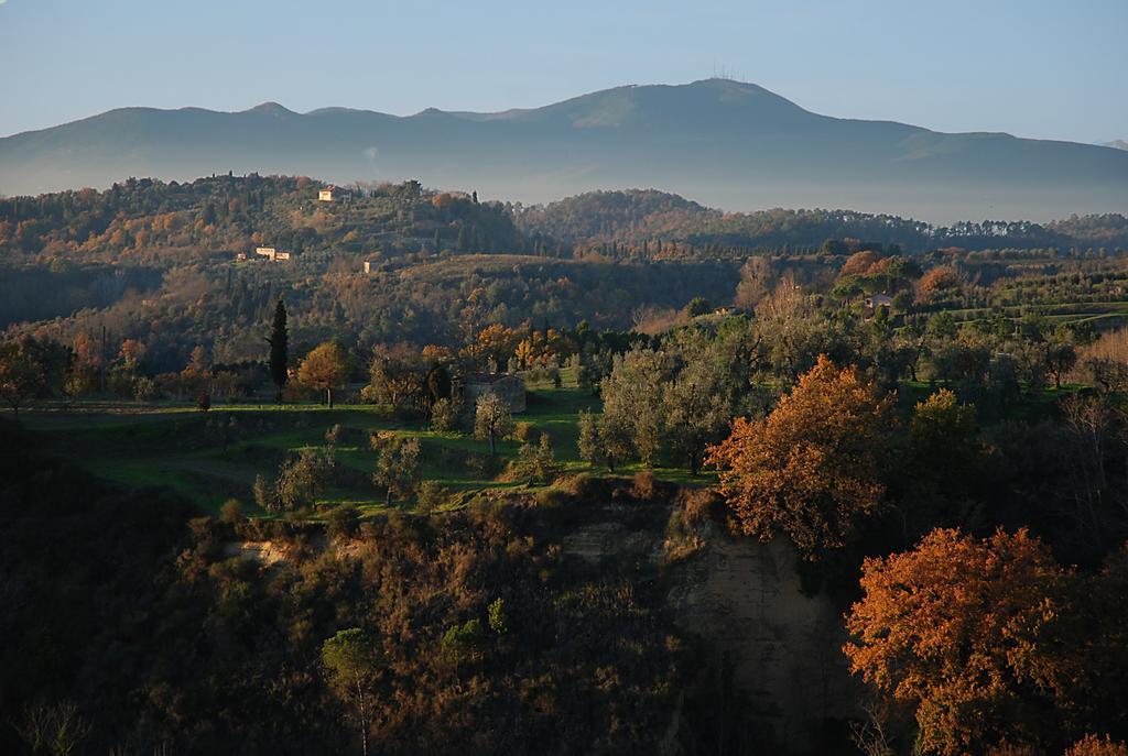 Appartamento Con Patio Privato E Giardino Tra Pisa E Firenze Palaia Exterior foto