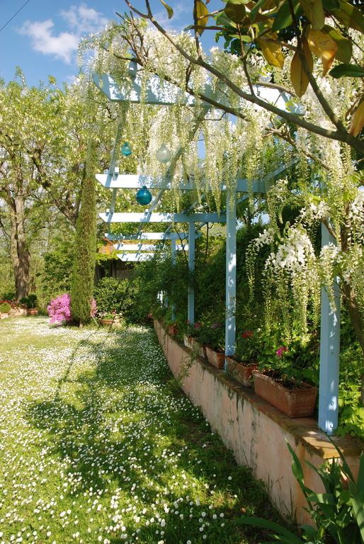 Appartamento Con Patio Privato E Giardino Tra Pisa E Firenze Palaia Exterior foto