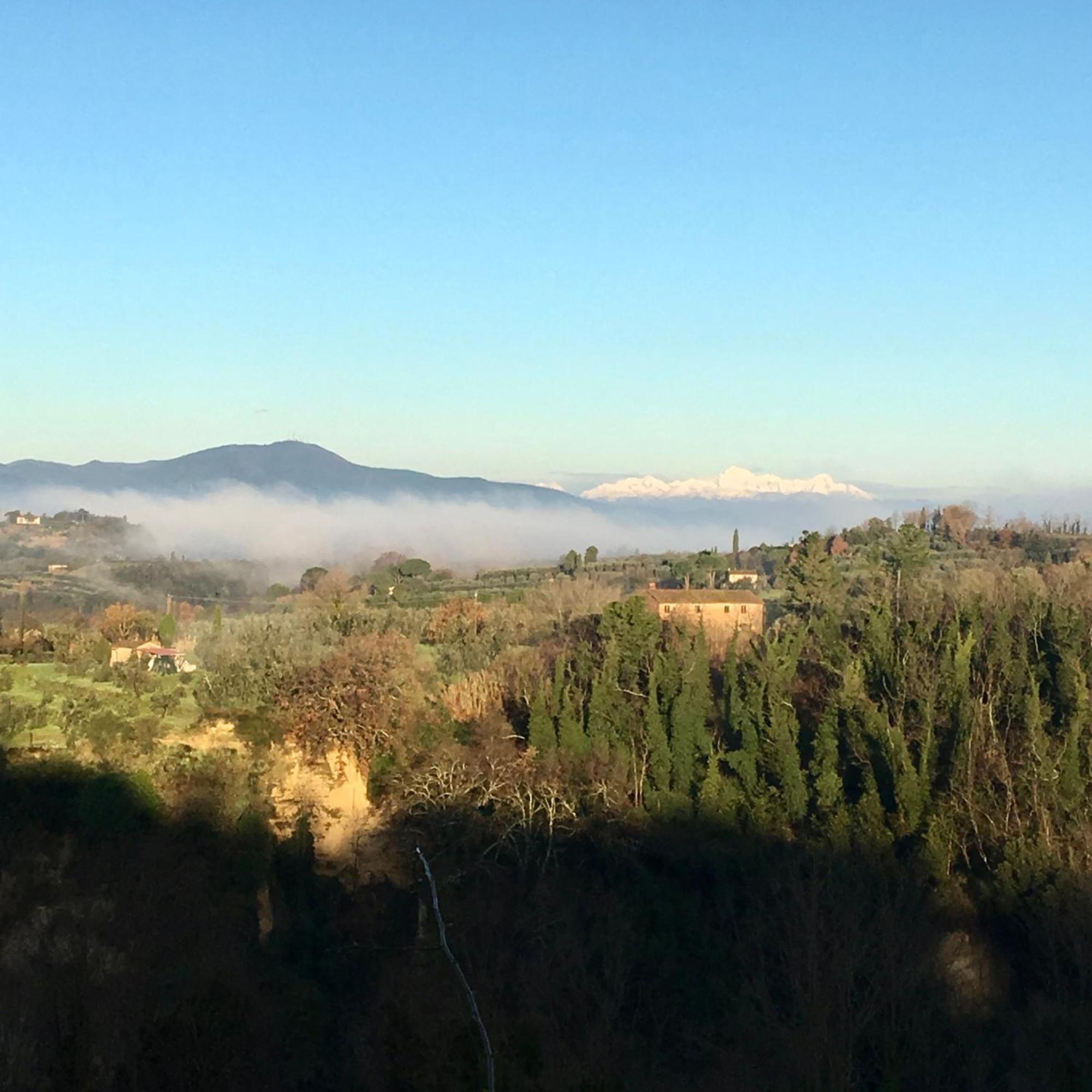 Appartamento Con Patio Privato E Giardino Tra Pisa E Firenze Palaia Exterior foto